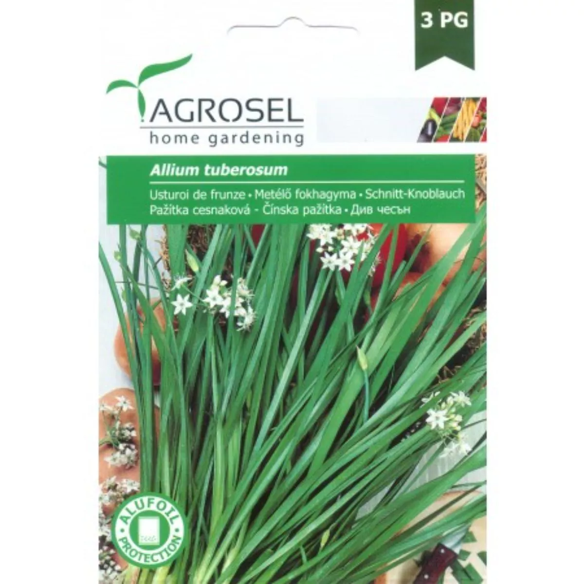 Seminte aromatice Usturoi de frunze Agrosel 1 g 1