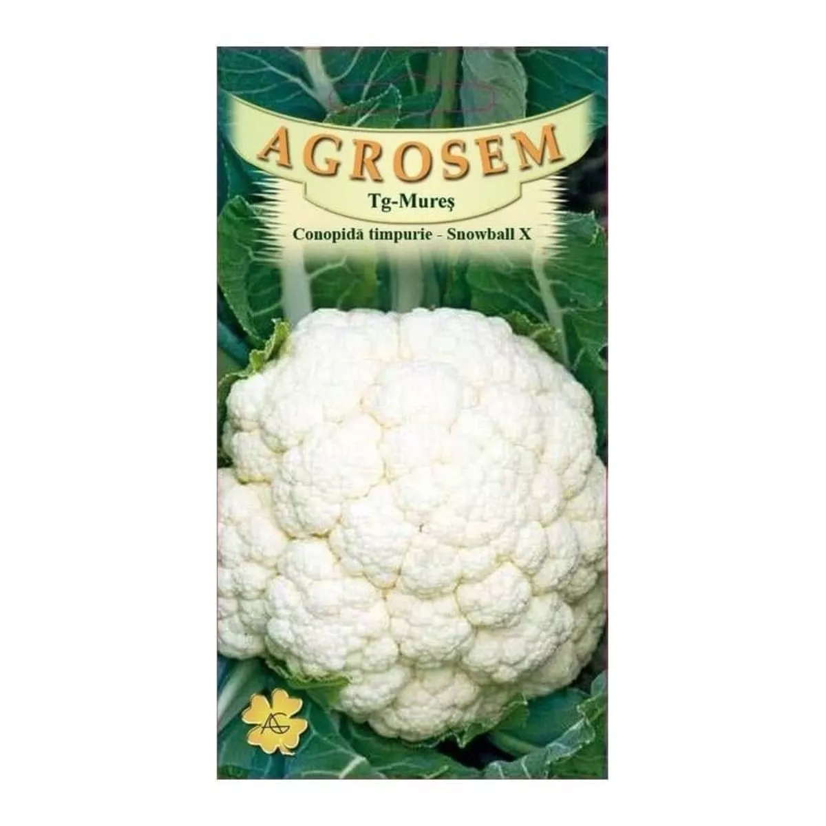 Seminte Conopidă  Snowball  X  AGROSEM 8 g 1
