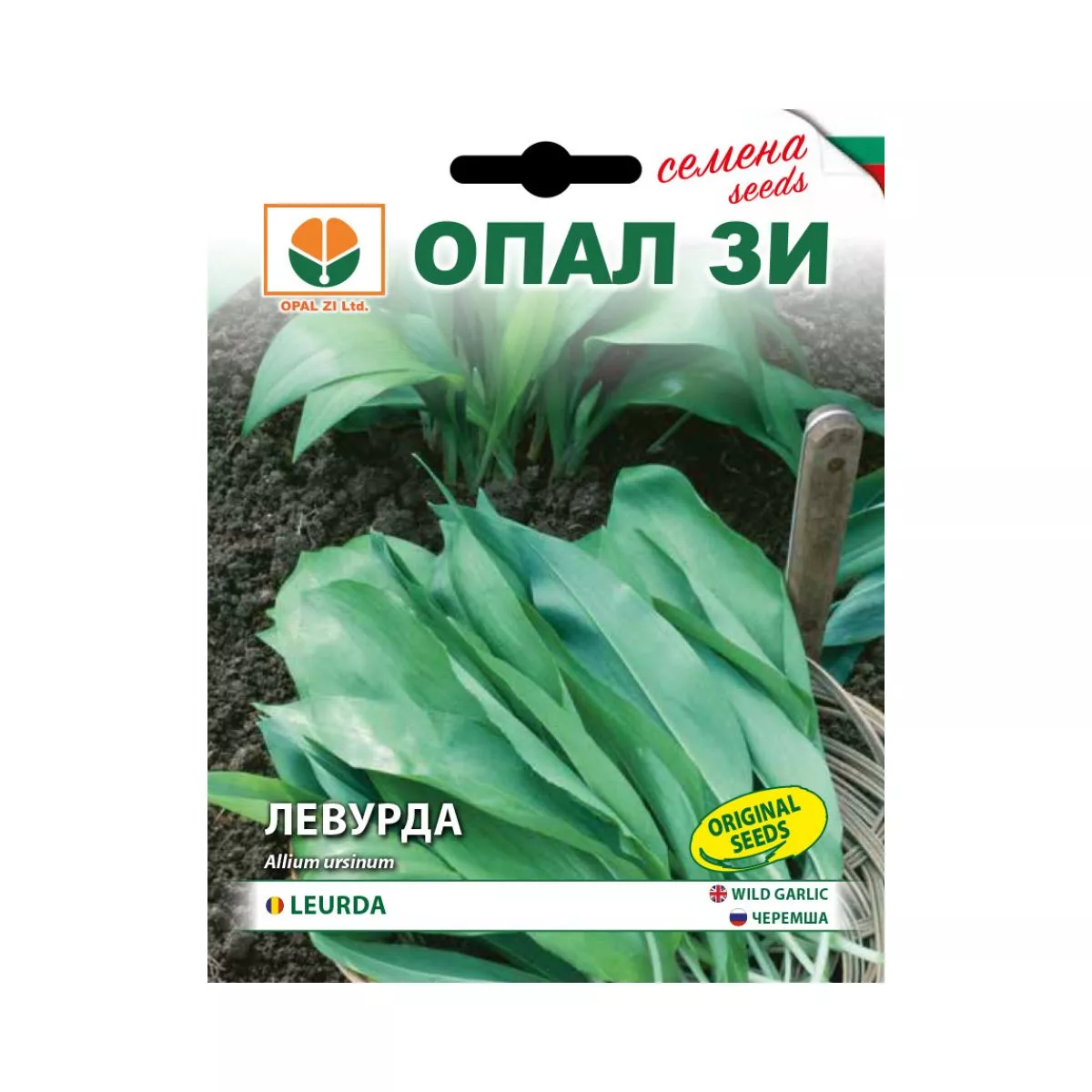 Seminte de Leurda- 0,5 grame OPAL 1