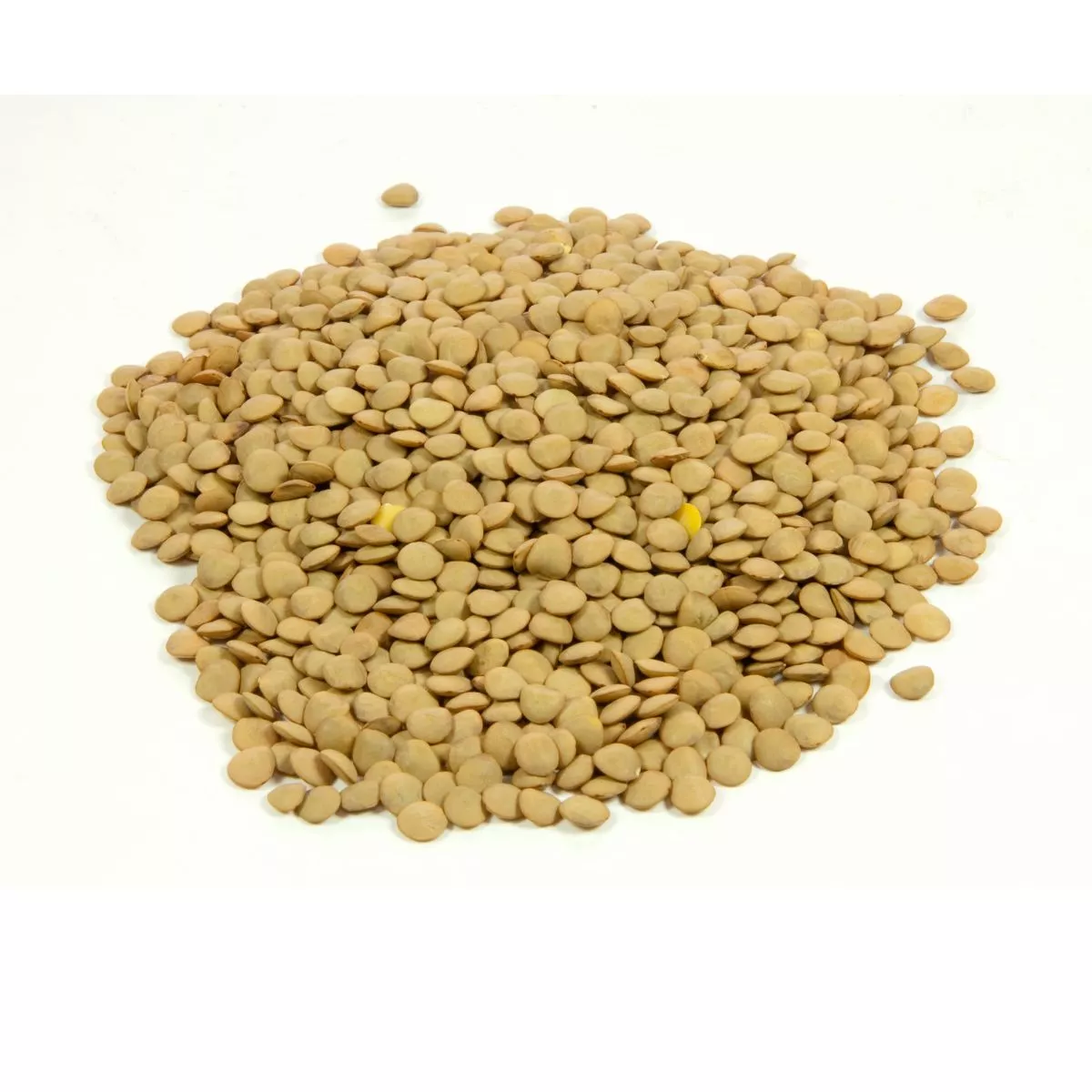 Seminte de linte, 30 gr, FLORIAN 1