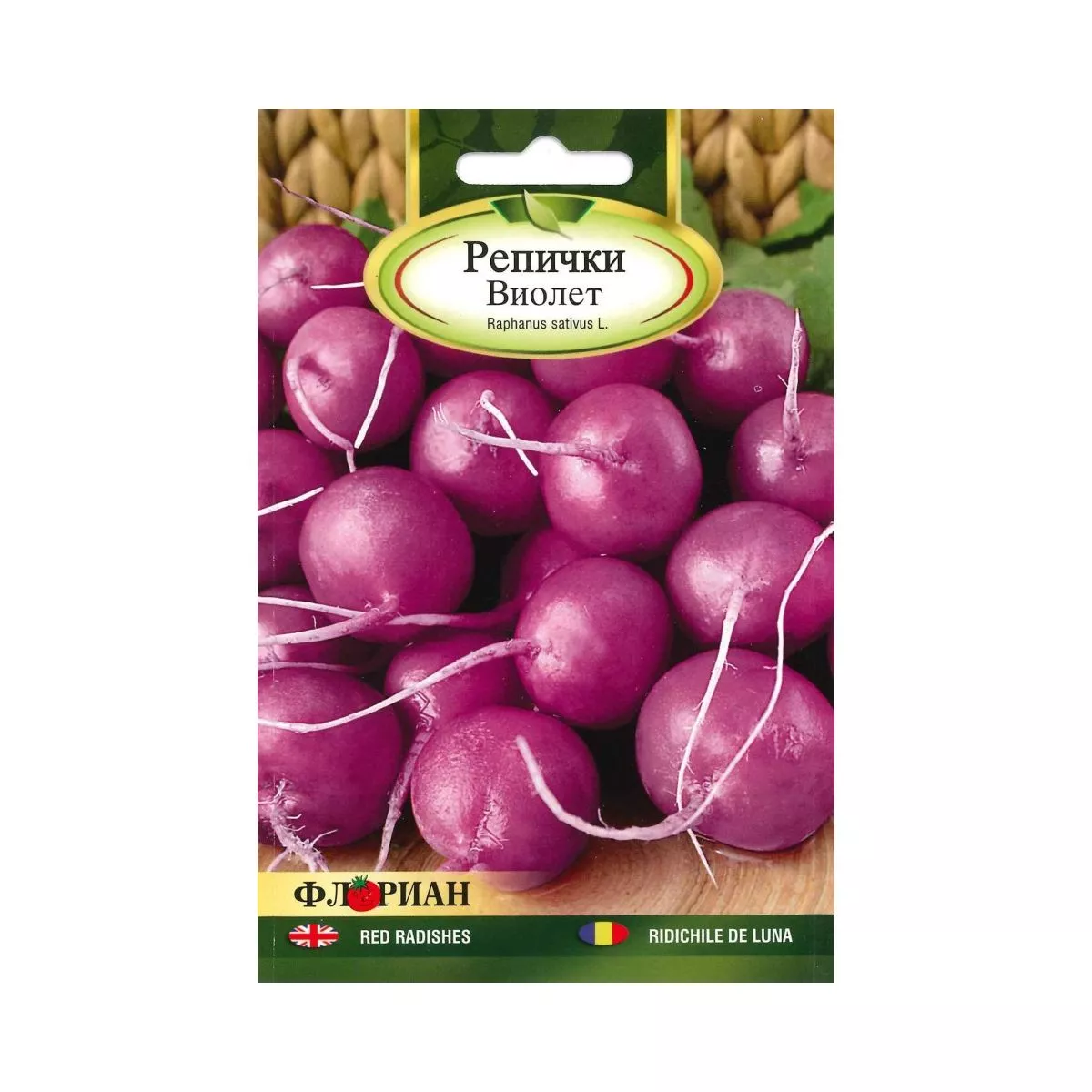 Seminte de ridichi violet Malaga, 5 gr, FLORIAN 1