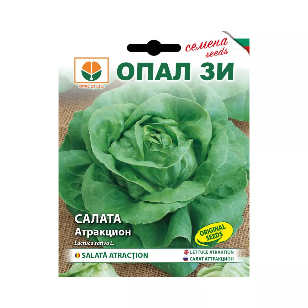 Seminte de salata verde Attraction- 2 grame OPAL 1
