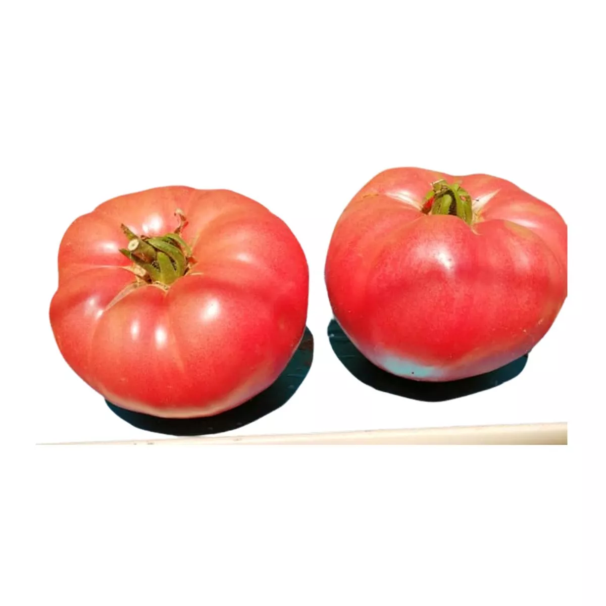 Seminte de tomate Rozamax, 0.5 grame FLORIAN 1