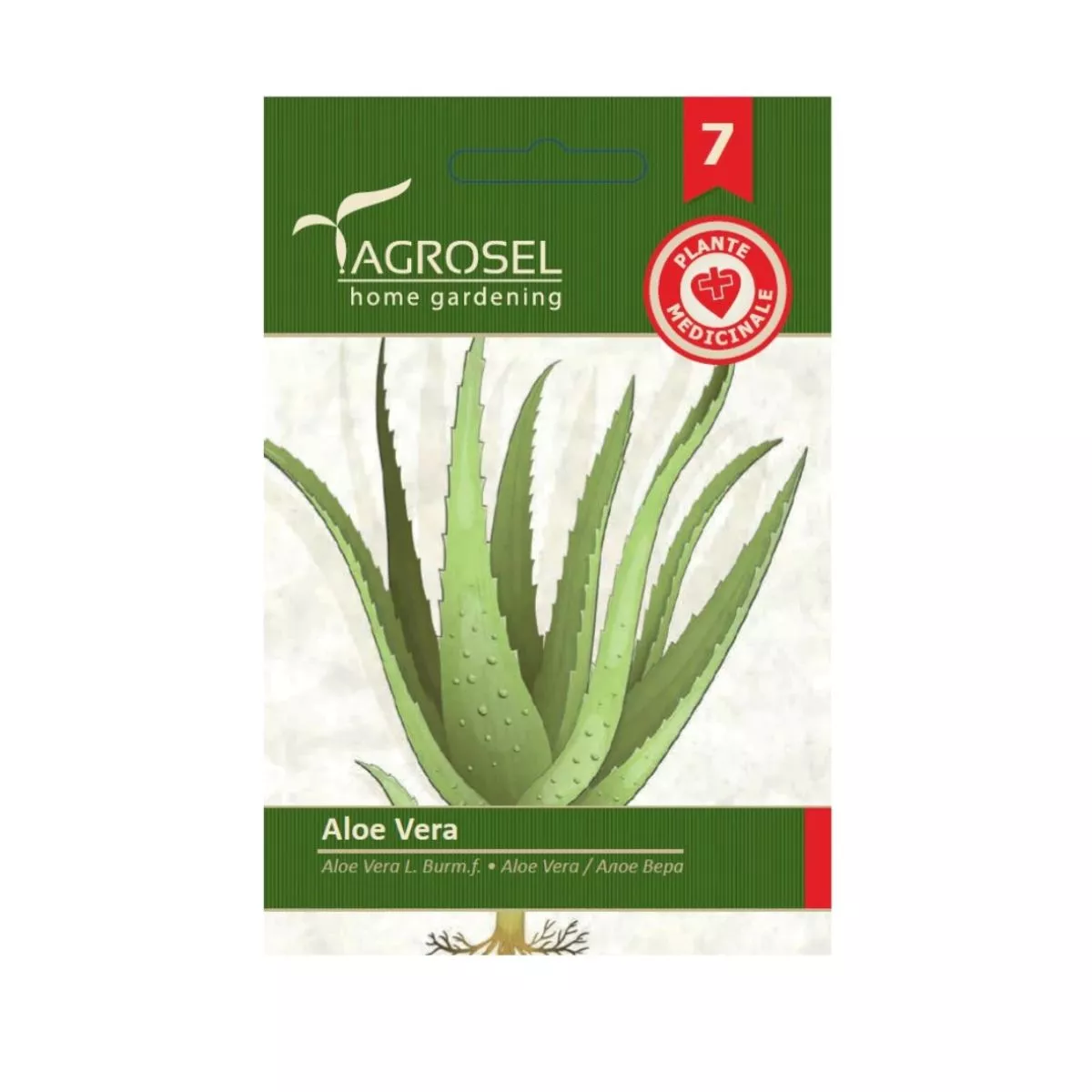 Seminte de Aloe Vera, 8 seminte, Agrosel 1