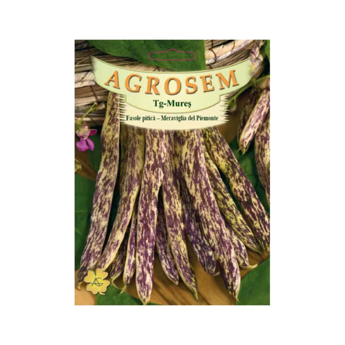 Seminte Fasole pitică   pastaie tarcată M. del Piemonte TRATAT AGROSEM 50 g 1