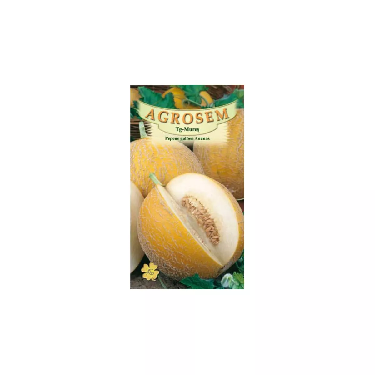 Seminte Pepene galben Ananas AGROSEM 10 g 1