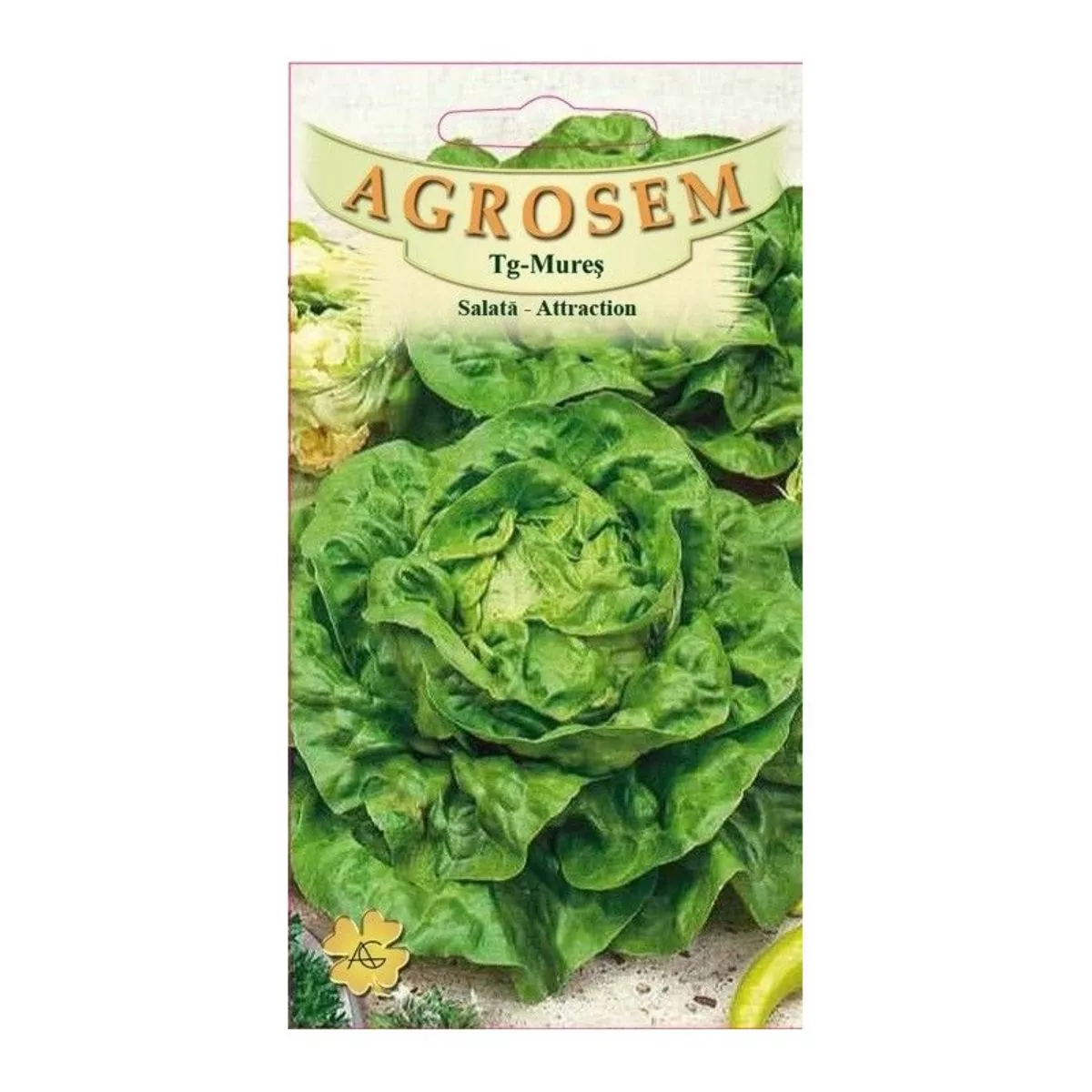 Seminte Salată Atracttion  AGROSEM 15 g 1