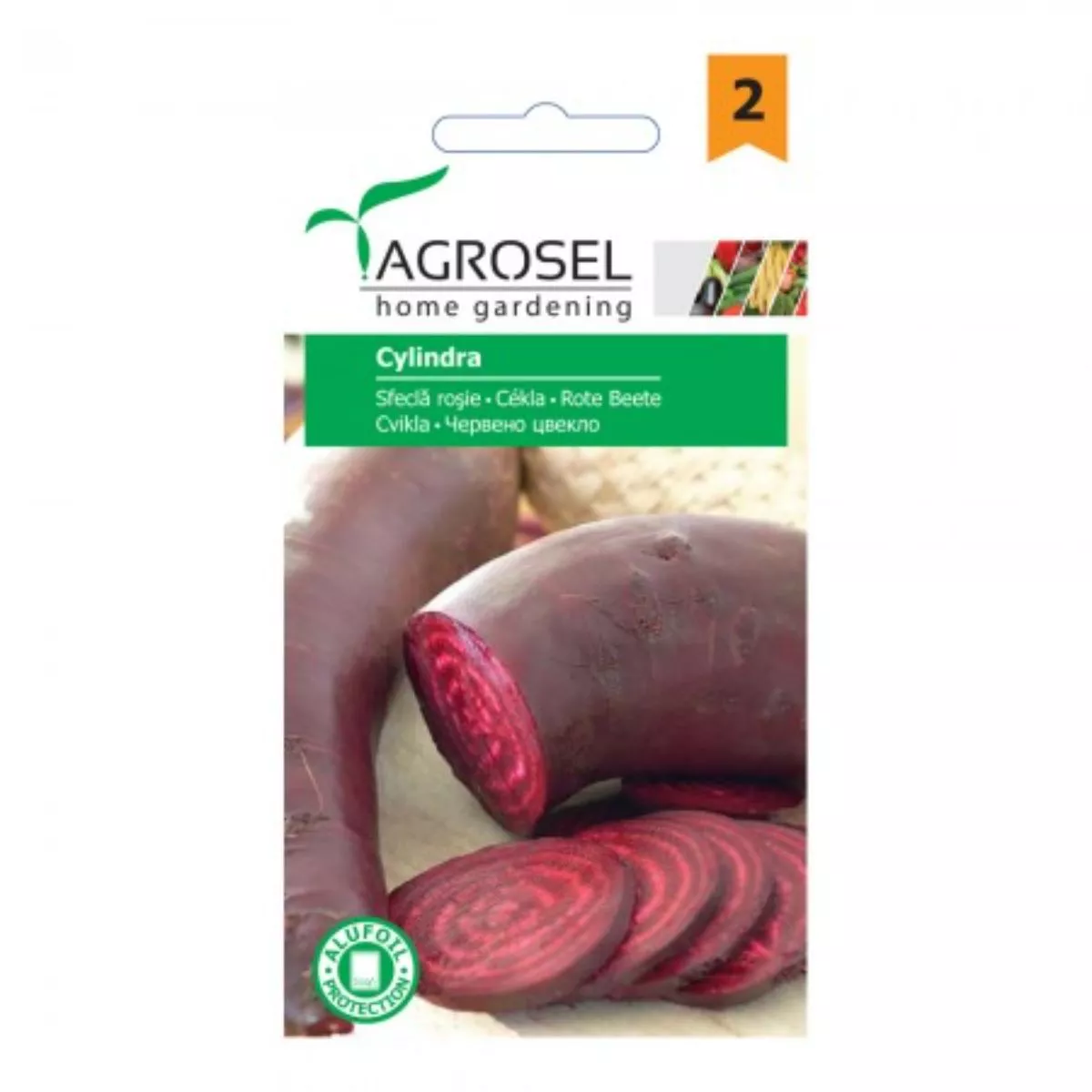 Seminte Sfecla rosie Cylindra Agrosel 5 g 1