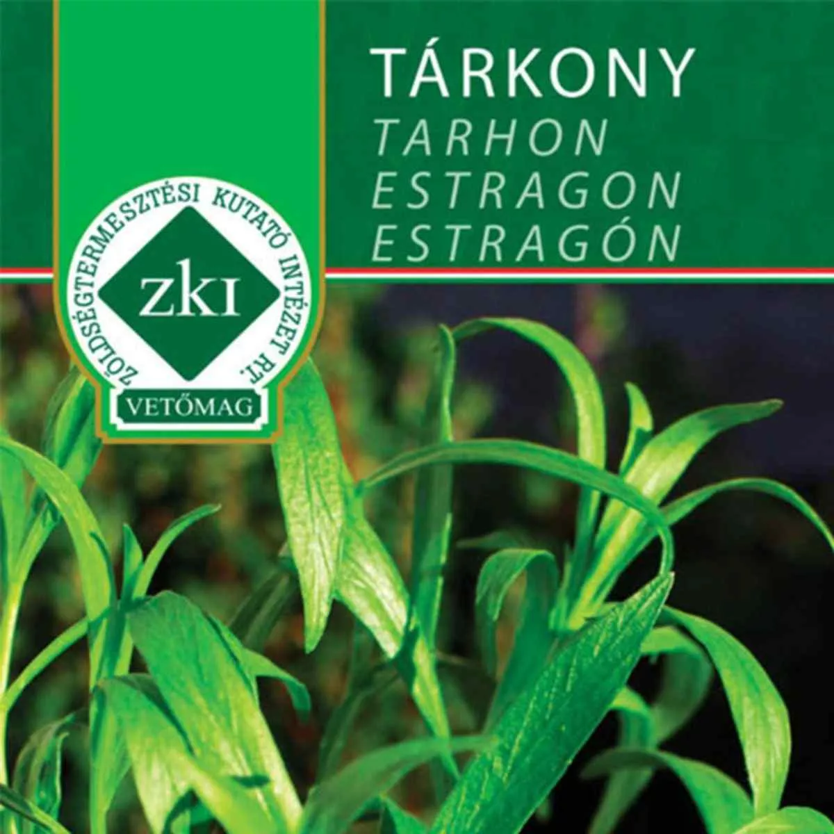 Seminte Tarhon  ZKI 0.5 g 1