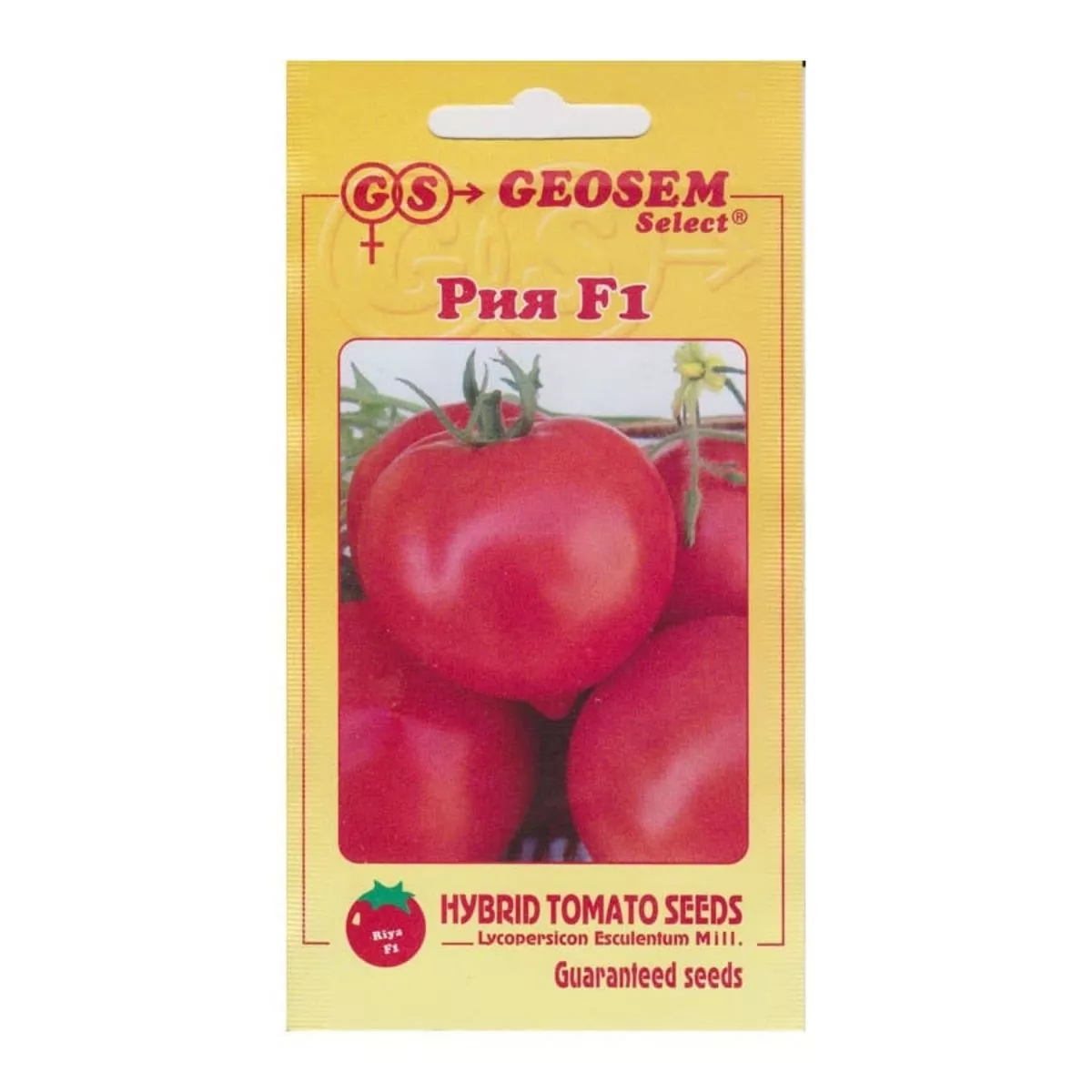 Seminte Tomate semi-timpurii RIYA GeosemSelect 1000 sem 1