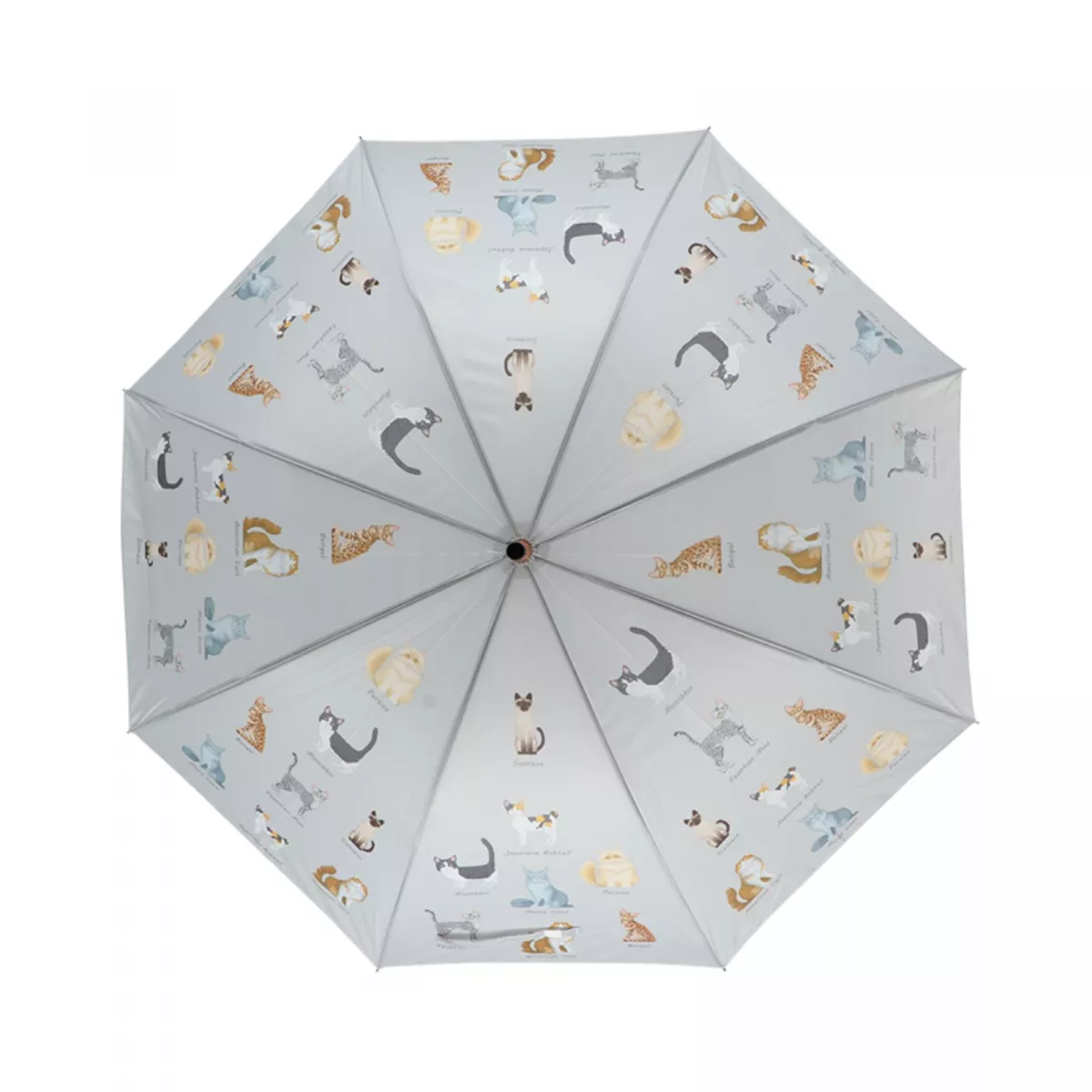 Umbrela de ploaie multicolora din plastic Cats breeds Esschert Design 2