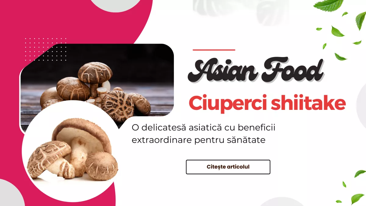 Ciuperci Shiitake istorie, beneficii și proprietati pentru sănătate