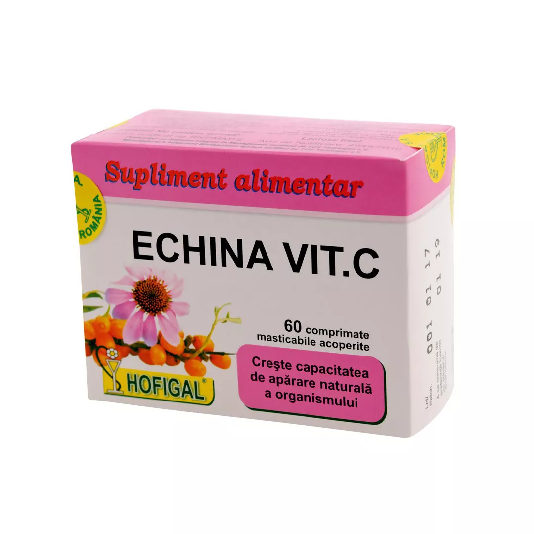 Echina Vitamina C, 60 comprimate, Hofigal, [],farmaciabajan.ro