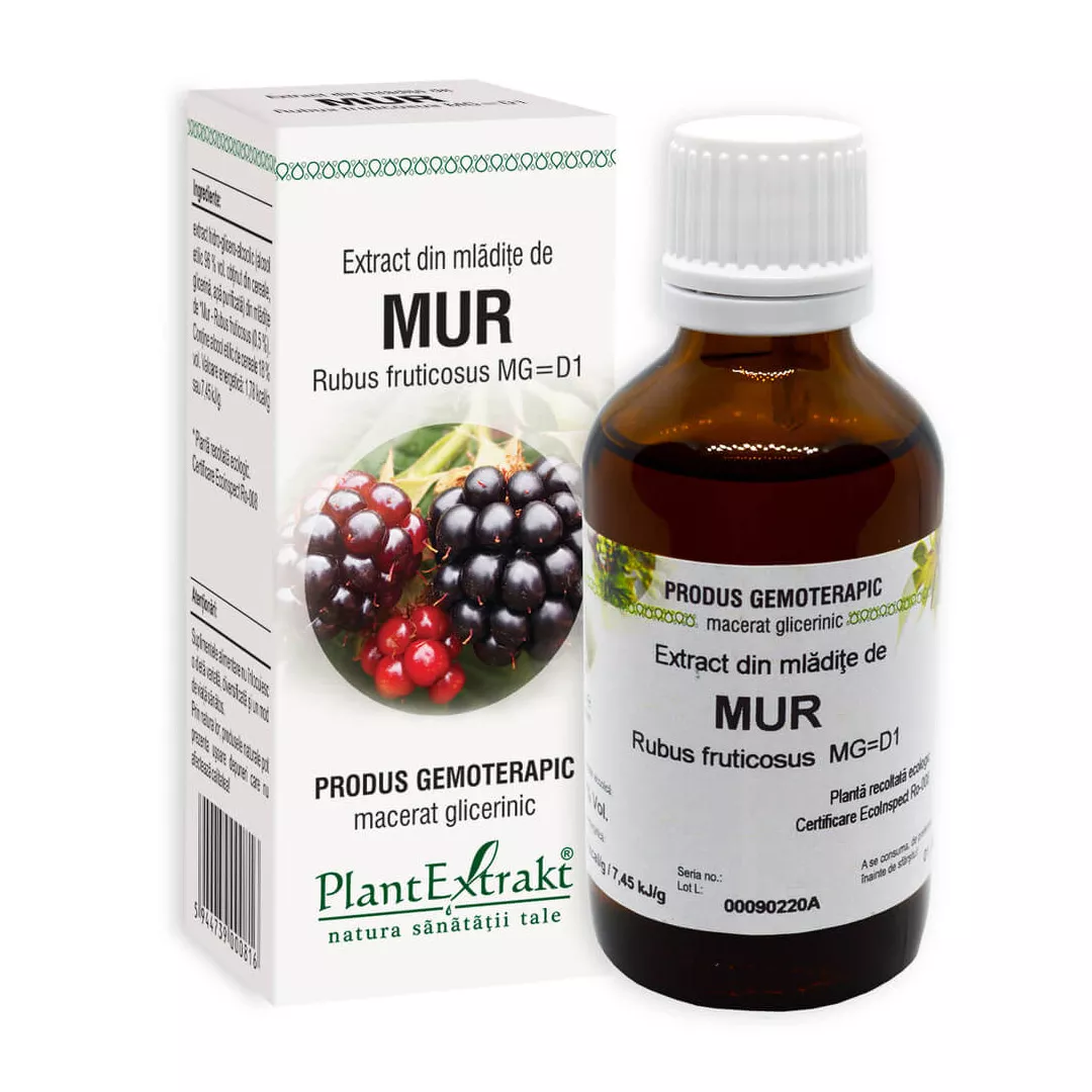 Extract din mladite de mur, 50 ml, Plant Extrakt, [],farmaciabajan.ro