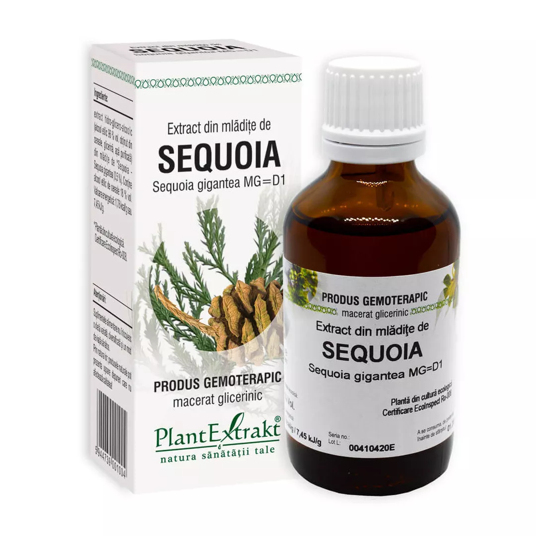 Extract din mladite de sequoia - Sequoia Gigantea MG=D1, 50 ml, Plantextrakt, [],https:farmaciabajan.ro
