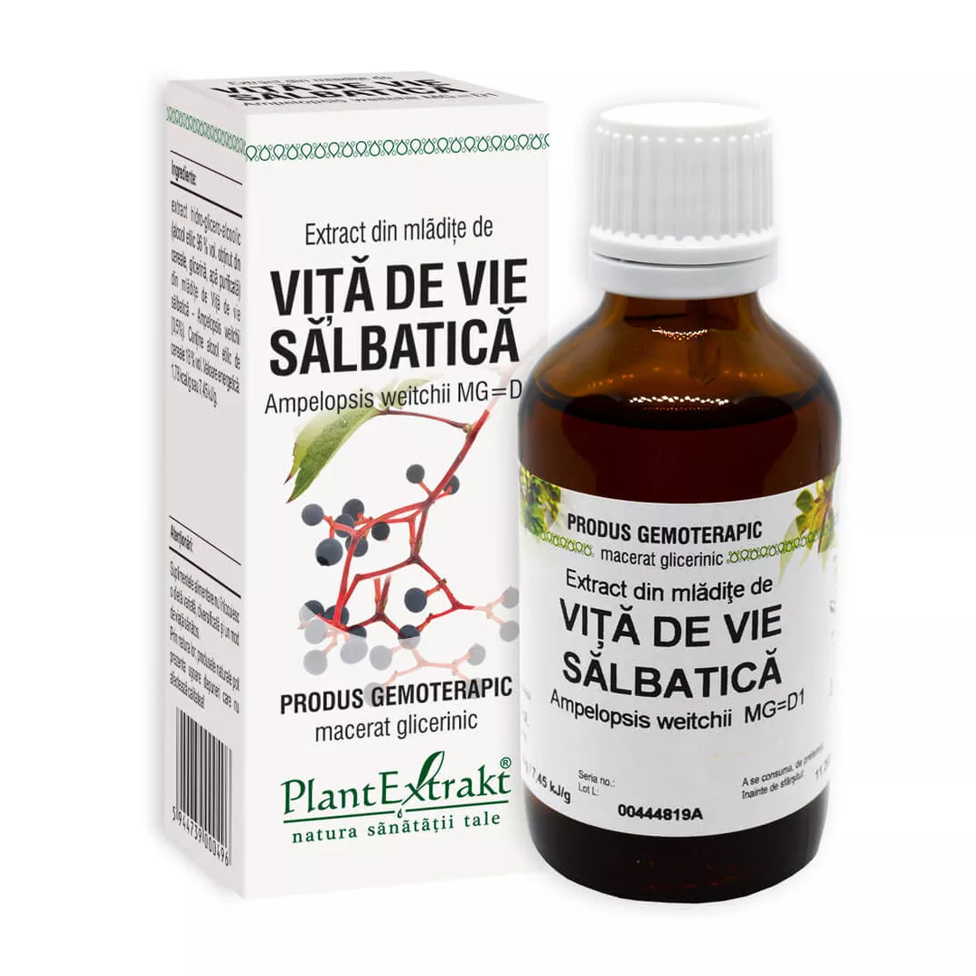 Extract din mladite de vita de vie salbatica, 50 ml, PlantExtrakt, [],https:farmaciabajan.ro