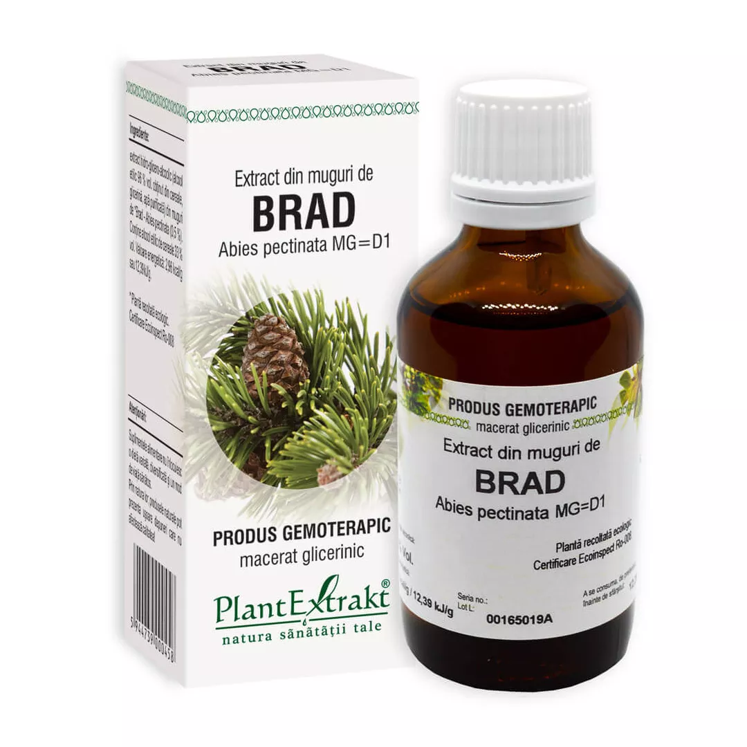 Extract din muguri de BRAD Abies pectinata, 50 ml, Plant Extrakt, [],https:farmaciabajan.ro
