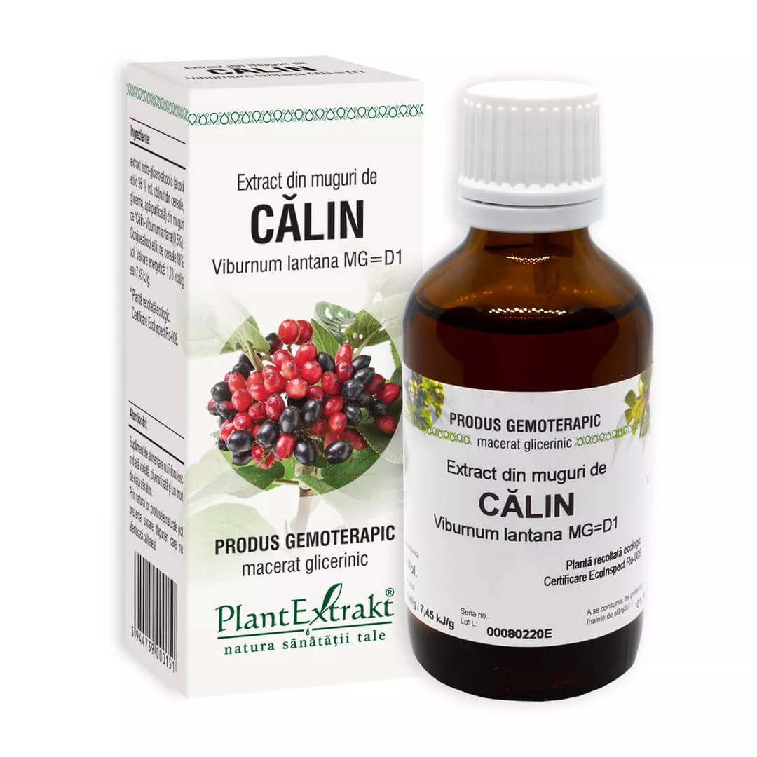 Extract din muguri de Calin, 50 ml, Plant Extrakt, [],farmaciabajan.ro