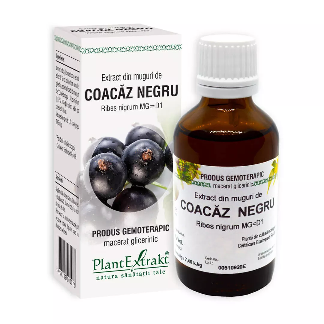 Extract din muguri de Coacaz Negru, 50 ml, Plant Extrakt, [],https:farmaciabajan.ro