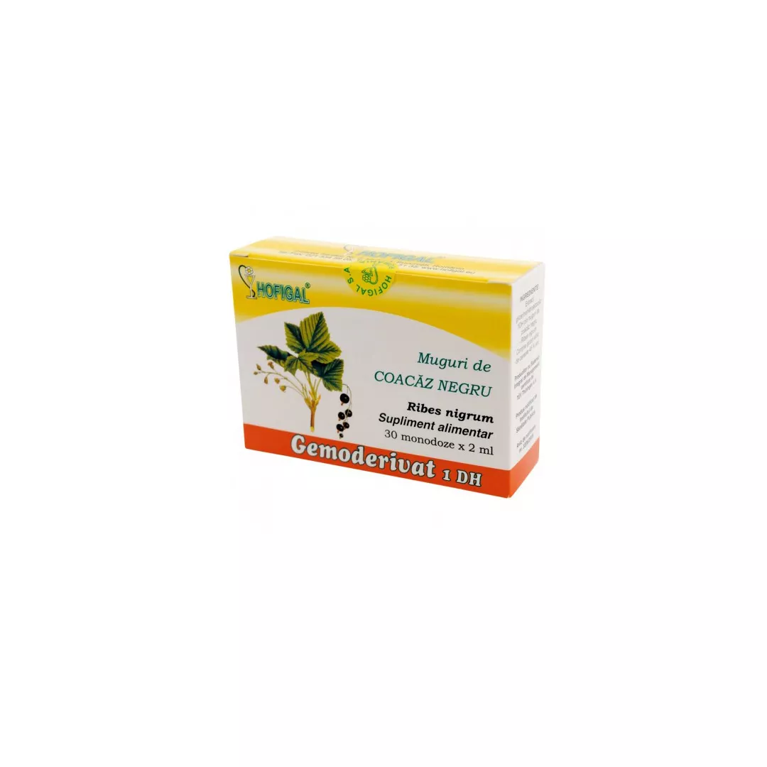 Muguri de coacaz negru Gemoderivat 1DH, Hofigal, [],farmaciabajan.ro