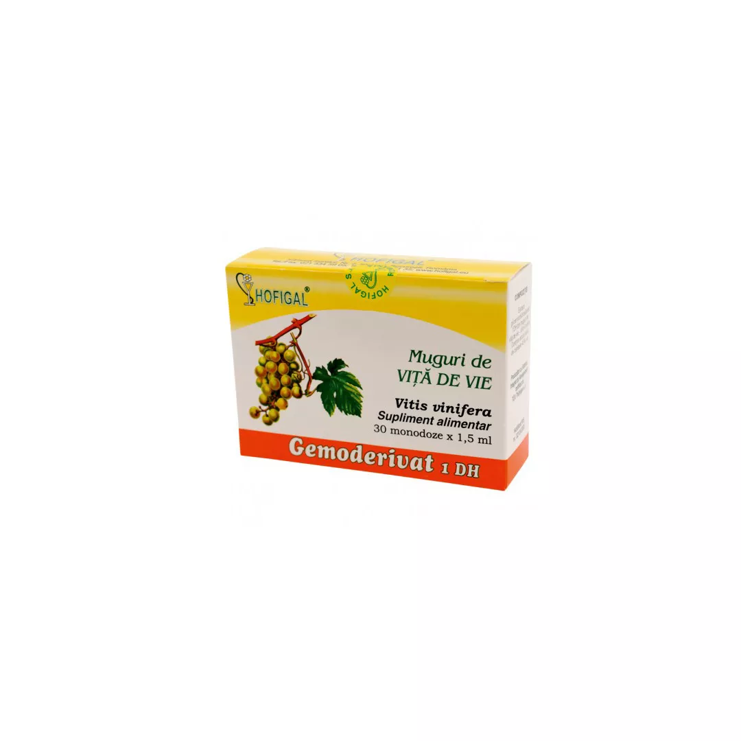 Muguri de vita de vie Gemoderivat 1DH, Hofigal, [],farmaciabajan.ro