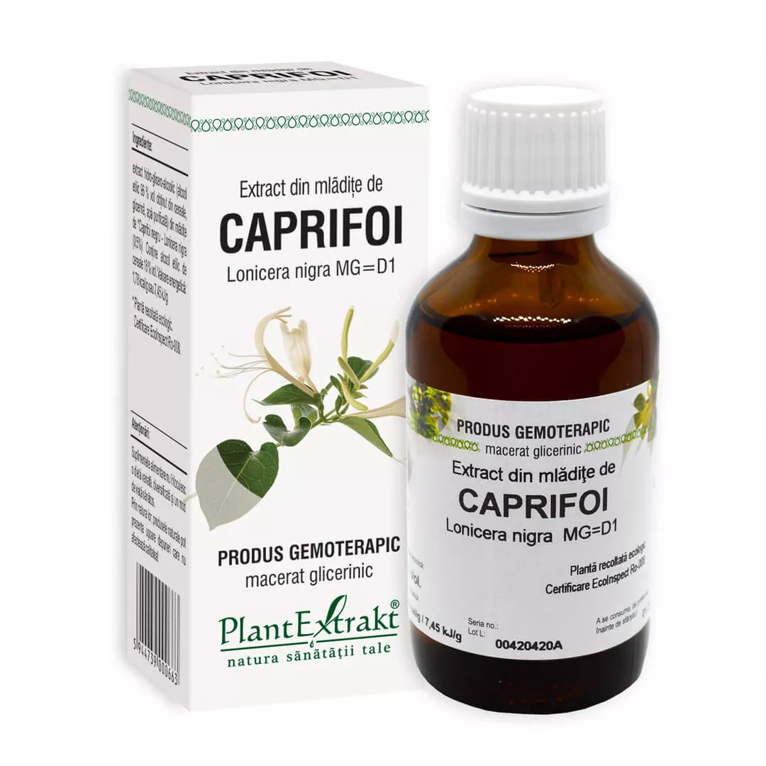 Extract din mladite de CAPRIFOI NEGRU - Lonicera nigra MG=D1, 50 ml, Plant Extrakt, [],farmaciabajan.ro