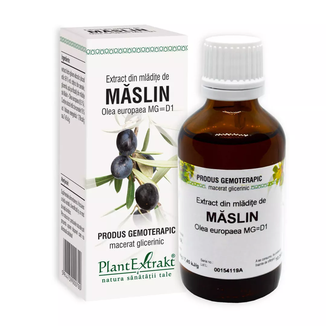 Extract din mladite de MASLIN - Olea europaea, 50 ml, Plant Extrakt, [],https:farmaciabajan.ro