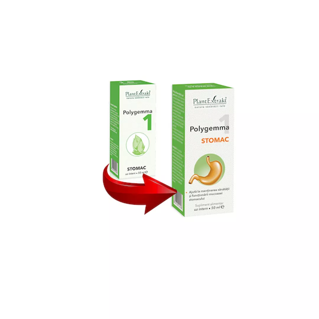 Polygemma 1, Stomac, 50 ml, Plant Extrakt, [],farmaciabajan.ro
