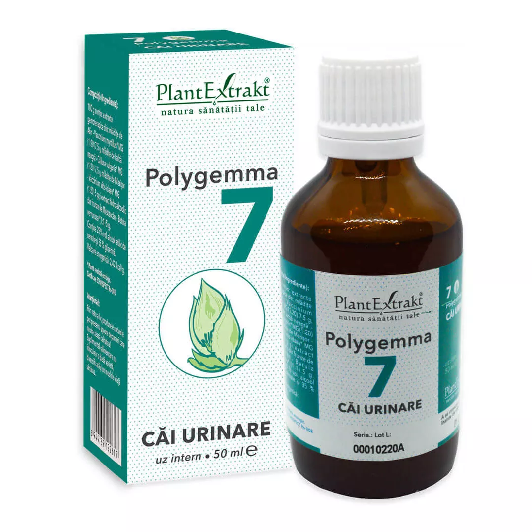 Polygemma 7, Cai Urinare, 50 ml, Plant Extrakt, [],https:farmaciabajan.ro