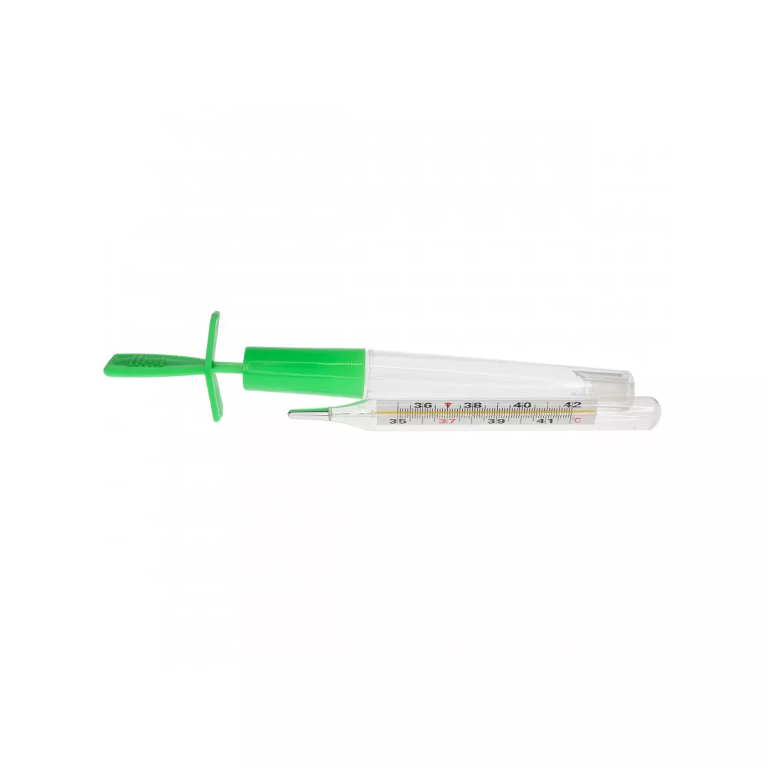 Termometru clasic fara mercur, Minut, [],farmaciabajan.ro