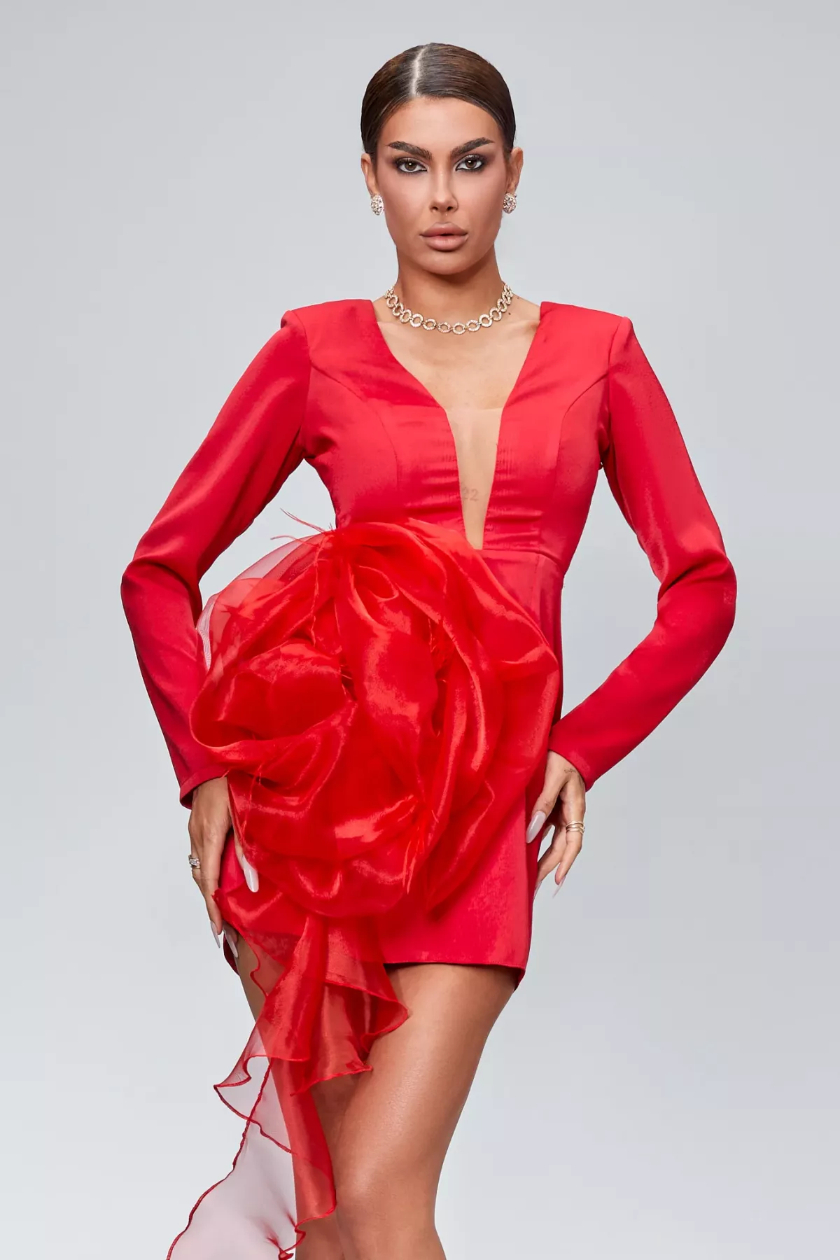 ROCHII - Pagina 4 BBY.ro