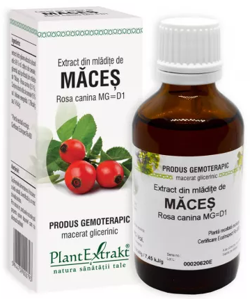 EXTRACT DIN MLADITE DE MACES * 50 ML, [],farmacom.ro