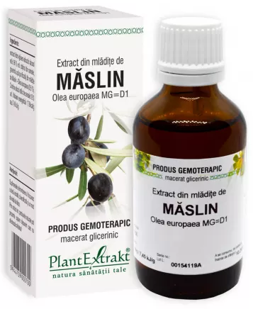 EXTRACT DIN MLADITE DE MASLIN * 50 ML, [],farmacom.ro