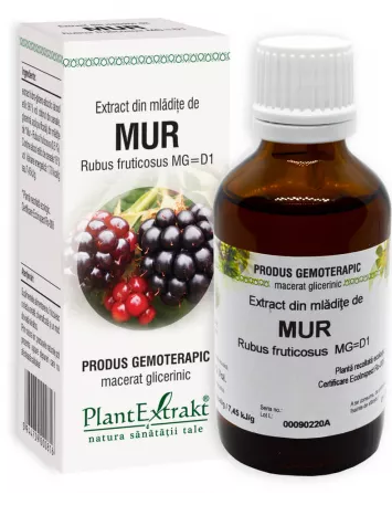 EXTRACT DIN MLADITE DE MUR * 50 ML, [],farmacom.ro