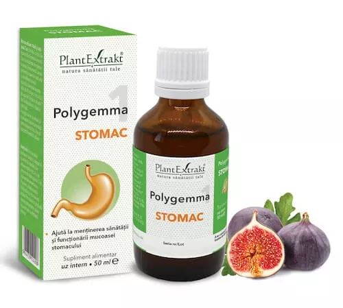 POLYGEMMA NR. 1 (STOMAC) * 50 ML, [],farmacom.ro
