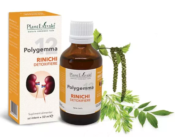 POLYGEMMA NR. 12 (RINICHI-DETOXIFIERE) * 50 ML, [],farmacom.ro