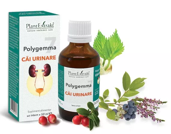 POLYGEMMA NR. 7 (CAI URINARE) * 50 ML, [],farmacom.ro