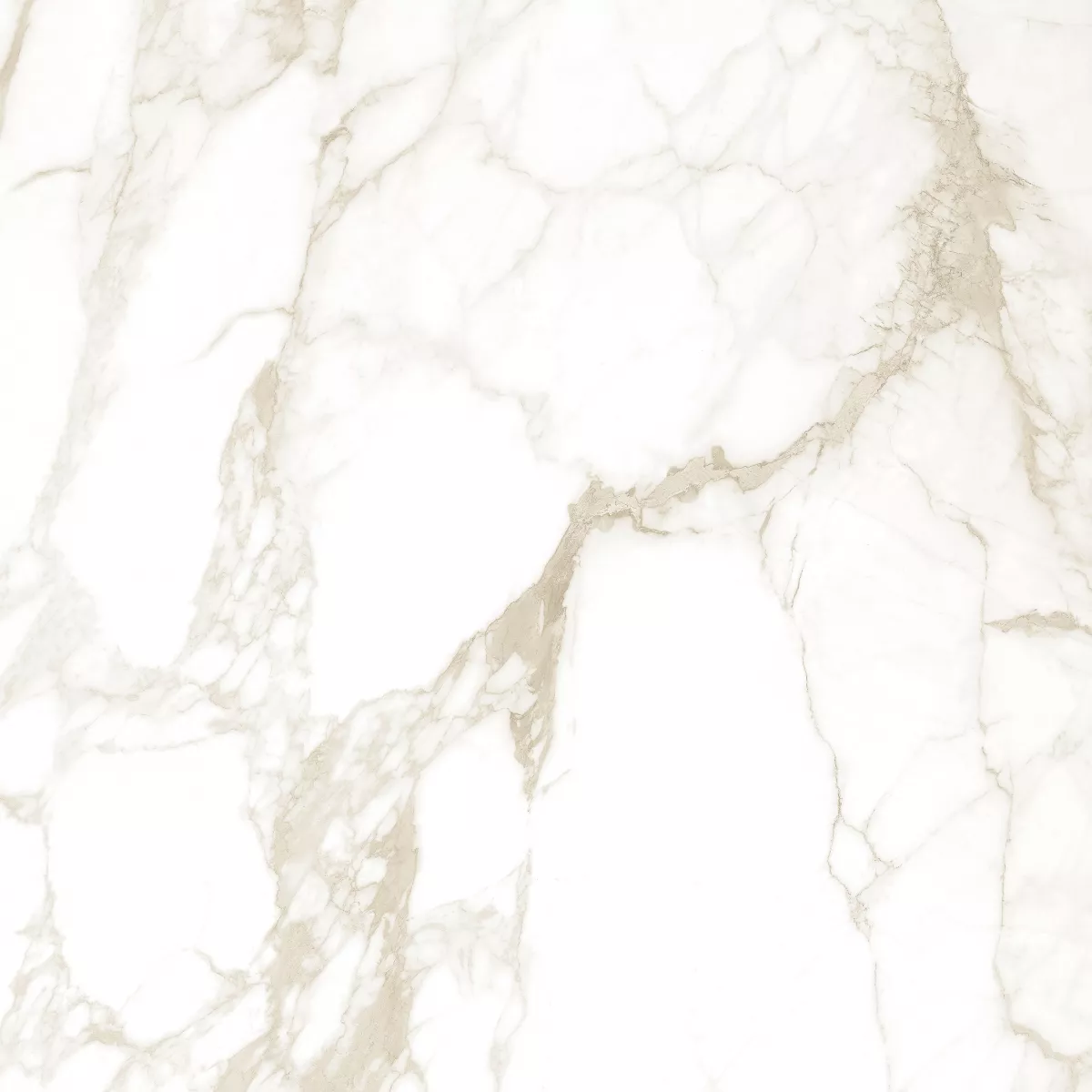 GRESIE GOLDEN TILE IMPERIAL WHITE 595 x 595 mm  (3G0500), [],harmonydecor.ro