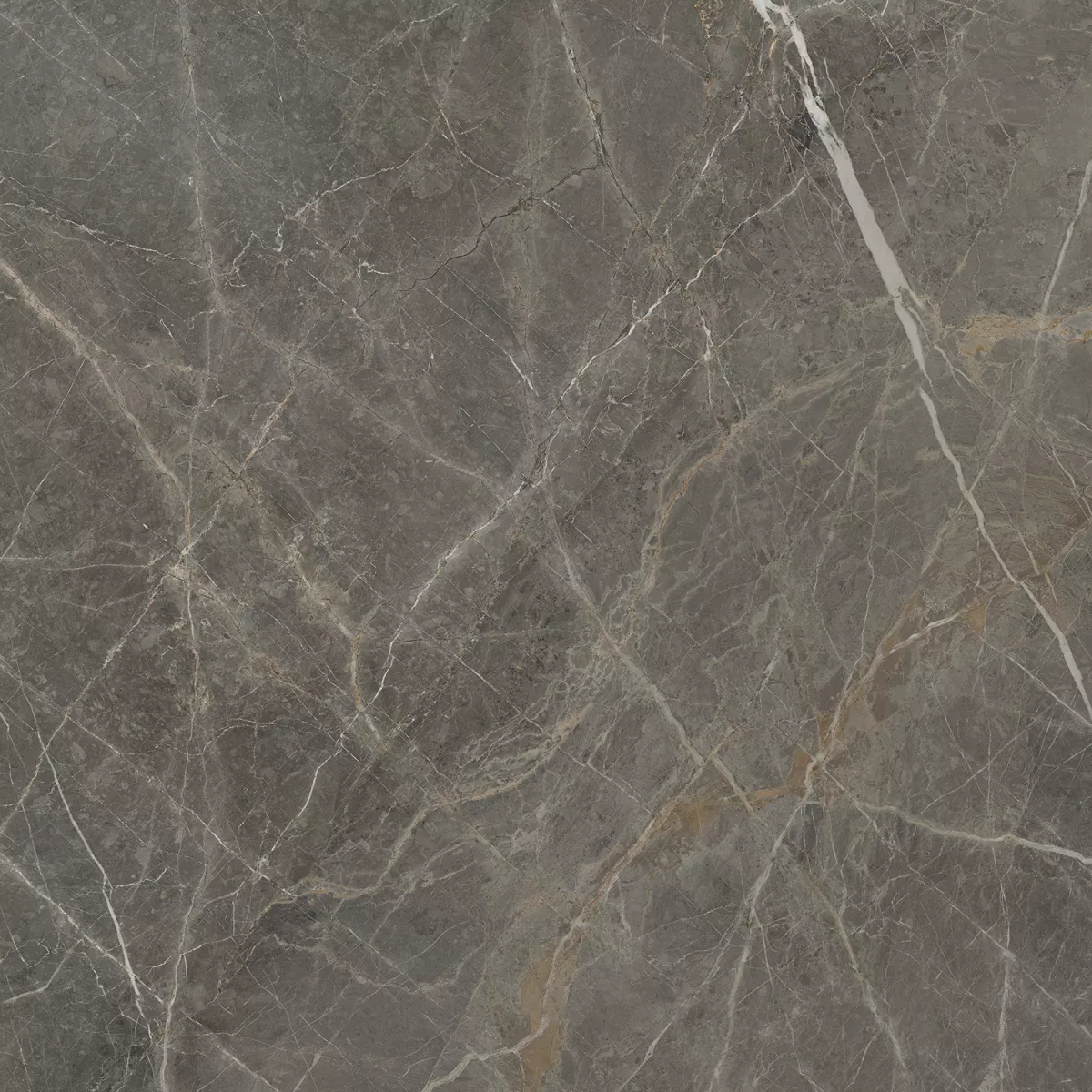 GRESIE GOLDEN TILE STONE ROOTS BROWN 600 X 600 MM SO7520, [],harmonydecor.ro