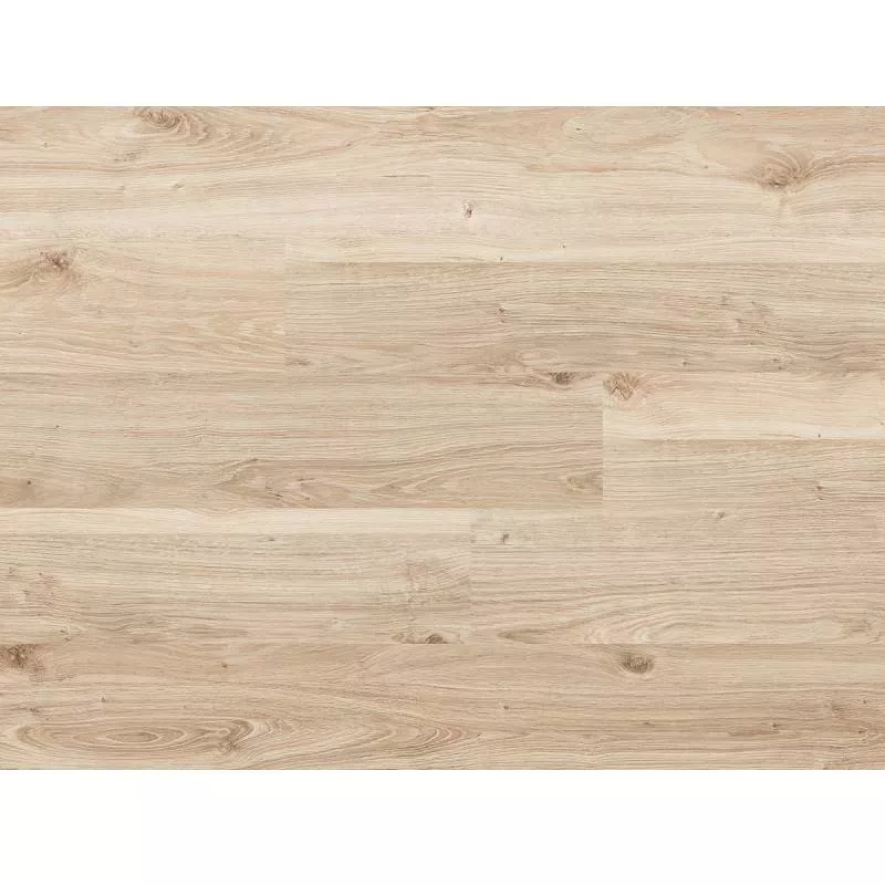 PARCHET LAMINAT CLASSEN JOY 8MM STEJAR SAVONA , [],harmonydecor.ro