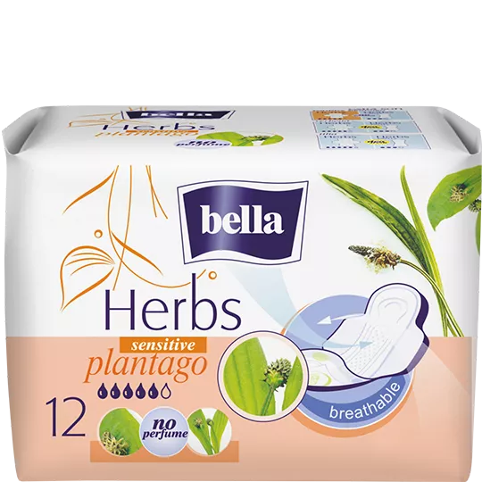 Bella Herbs sensitive plantago (12)