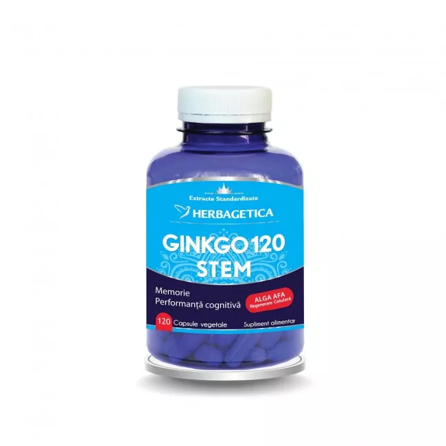 Ginkgo 120 stem, 120 capsule, Herbagetica