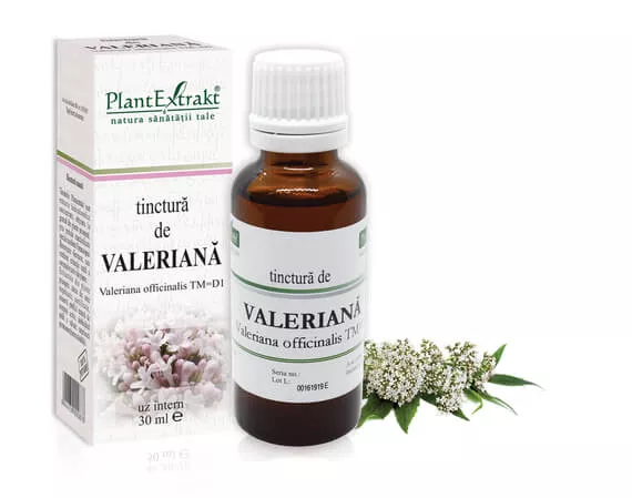 Tinctură valeriană (Valeriana officinalis TM=D1), 30ml, PlantExtrakt