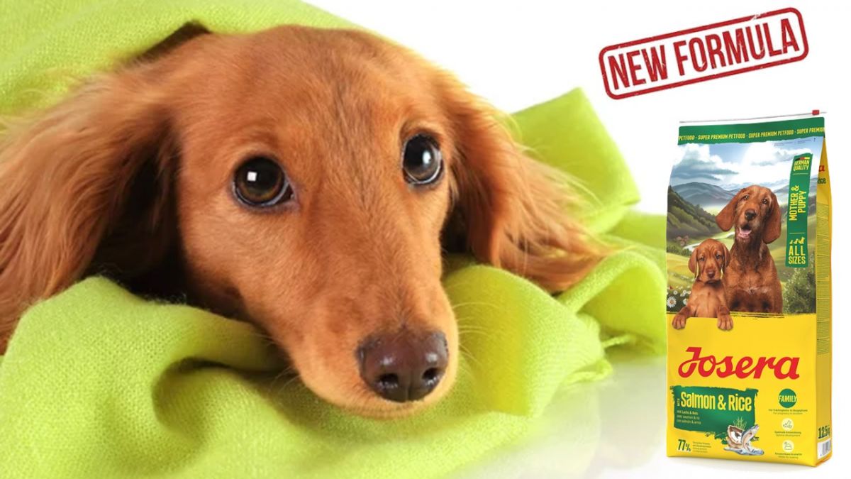 Promotie shop.interpet.ro #2