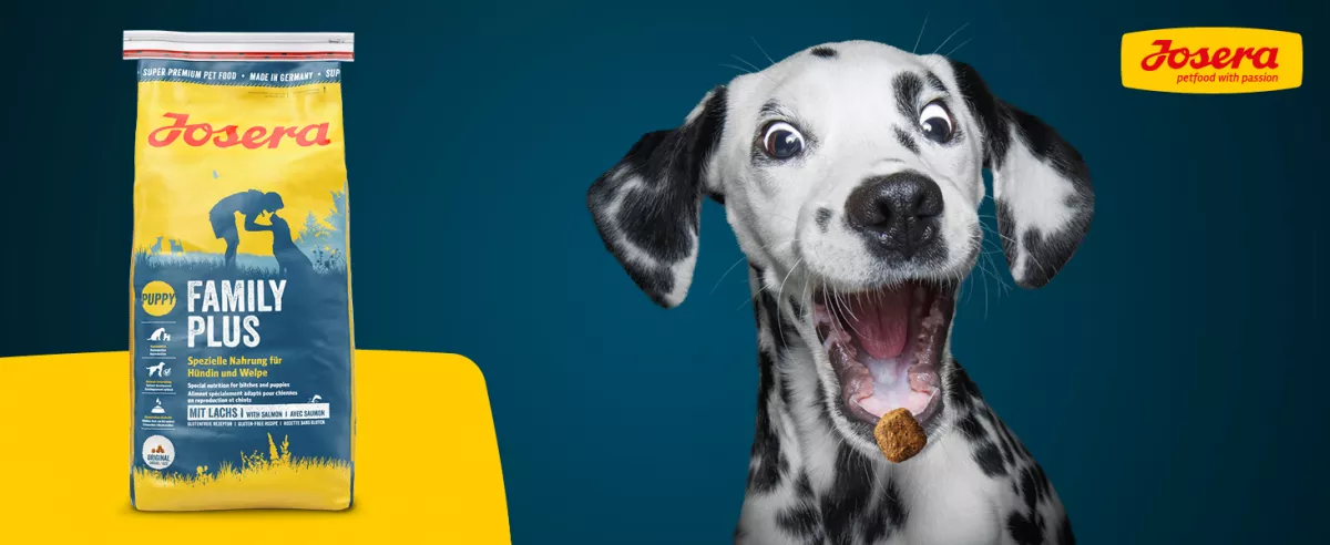 Promotie shop.interpet.ro #1