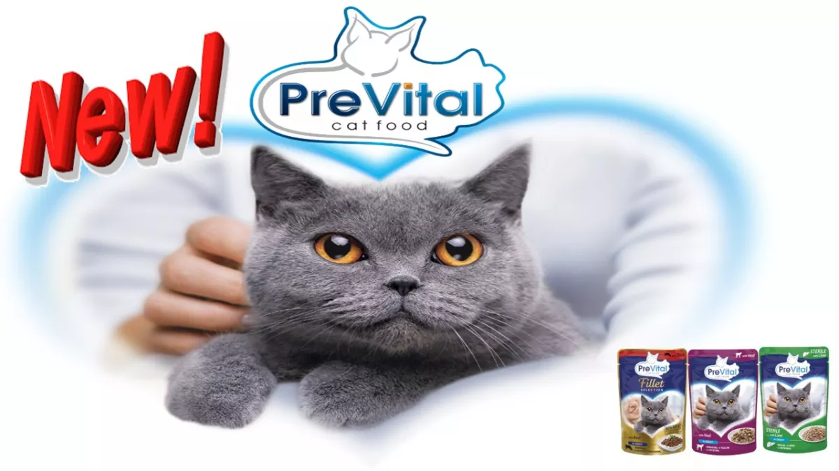 Promotie shop.interpet.ro #2