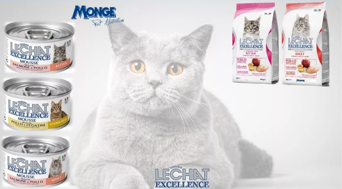 Promotie shop.interpet.ro #1