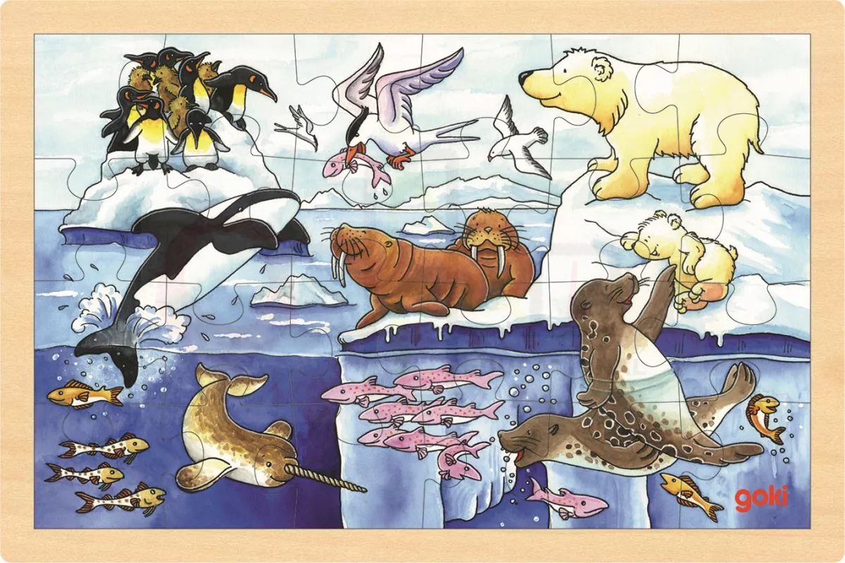 Puzzle animale arctice