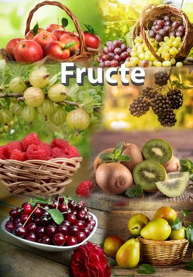 Mapa didactica A4 Fructe