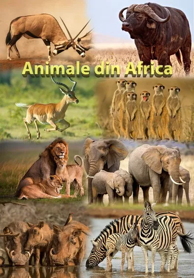 Mapa didactica A4 Animale din Africa